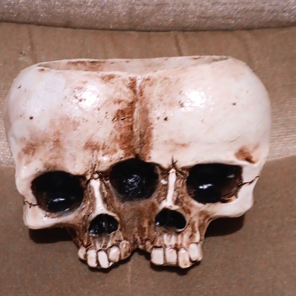 Mini Skull Plant Holder for plants